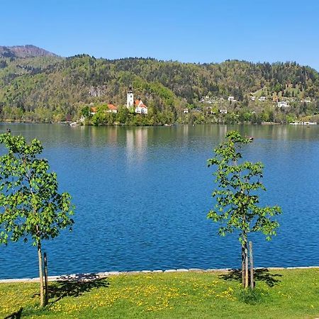 Apartma Panorama Lägenhet Bled Exteriör bild