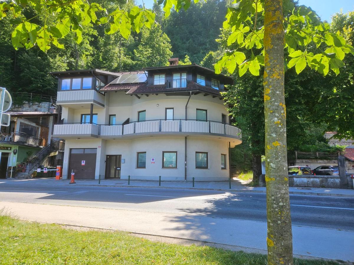 Apartma Panorama Lägenhet Bled Exteriör bild
